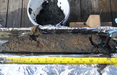 sediment-core-profile-sample